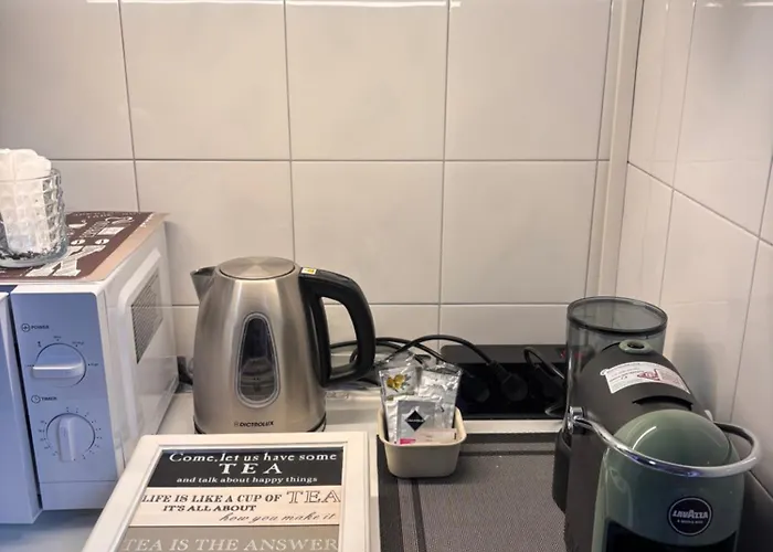 Apartment Ampio E Luminoso 80 Mq Con Wi-fi Fibra Vicino Parco Valentino, Ospedali E Inalpi Arena