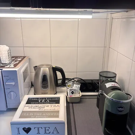 Apartman Ampio Di 80 Mq Vicino A Parco Del Valentino, Ospedali E Inalpi Arena